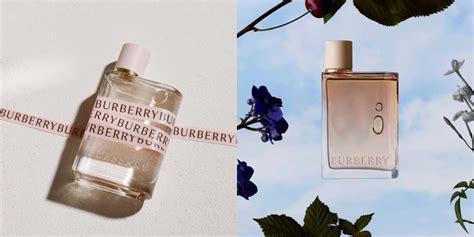 Burberry Her Blossom Fiyat, İnceleme Ve Yorum